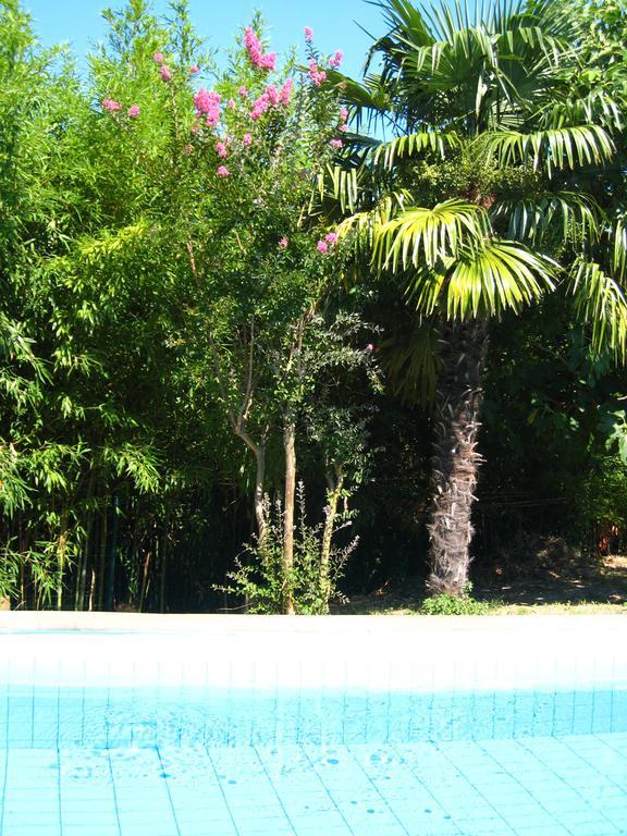Apartment Apollonio Portorož Rom bilde
